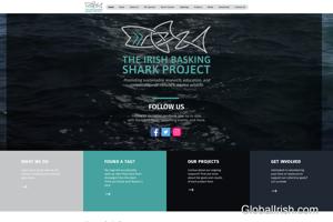 Irish Basking Shark Project