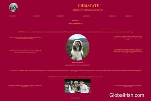 Christate Tibetan Terriers