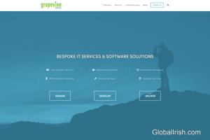 Grapevine Solutions Ltd