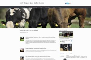 Belgian Blue Cattle Breeding