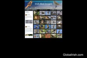 Irish Bird Images