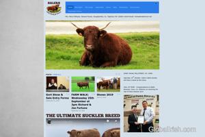 The Salers Cattle Society Of Ireland