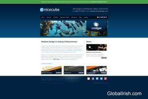 Nicecube Website Design & Development