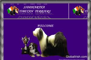 Siddhartha Tibetan Terriers Ireland