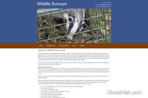 Brian Keeley Wildlife Surveys