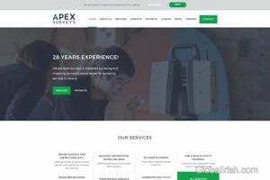 Apex Surveys