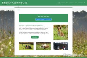 Ballyduff Coursing Club