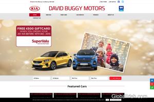 David Buggy Motors