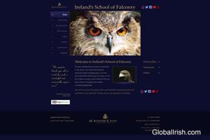 Irelands School of Falconry