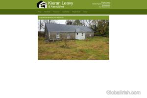 Leavys Auctioneers