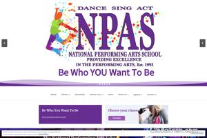 National Performing Arts School