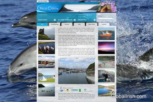 Cape Clear Island Oilean-Chleire