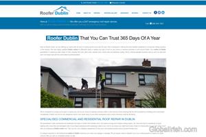 Roofer Dublin