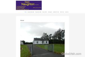 Sean Naughton Auctioneers